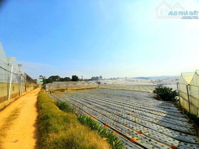 Bán đất đẹp khu dân cư hẻm xe hơi 5m gần khu du lịch Thung Lũng Tình Yêu - 1