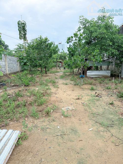 BÁN 699m2 ĐẤT TRẢNG DÀI, ĐƯỜNG NHỰA RỘNG 7m THÔNG THOÁNG, SỔ HỒNG THỔ CƯ GẦN CÂY XĂNG 26 - 1