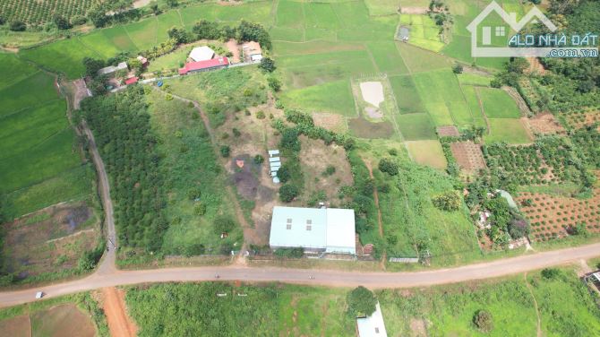 Cần chuyển nhượng hơn 1ha đất mt đường Nguyễn Bá Lai, view ruộng cực đẹp, Pleiku - Gia Lai - 1