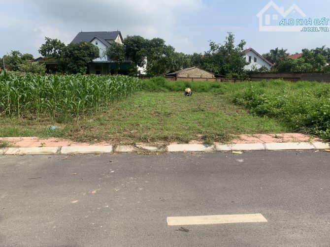 Bán Đất – Thái Lai (Xã Minh Trí – SS)- 110m² – 2,7 TỶ- Full Thổ Cư - 2 Oto Tránh Vào Đất . - 2