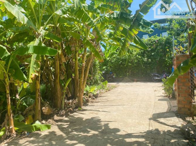 🏡 LÔ ĐẤT 500M² HỘI PHƯỚC – GẦN VÀNH ĐAI PHÍA TÂY – CHỈ 1,99 TỶ 🏡 - 2