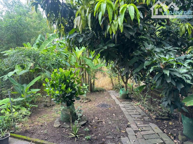 🌳 Mua nhà  tặng vườn trái cây, 2 mặt tiền, diện tích 580m2, 80 thổ tại Thị trấn Vĩnh An - 2