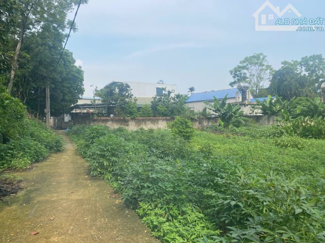 Bán 126m đất Phú Nghĩa oto vào đất giá chỉ 2,6 tỷ - 2