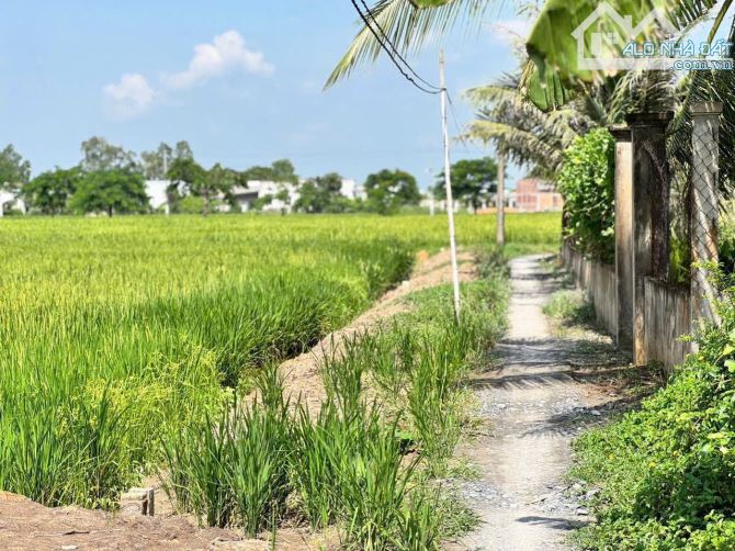 cần bán 550m2 đất 🌾 giá 449tr thuộc Tân Lân, Cần Đước sổ sẵn - 2
