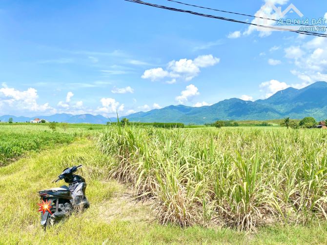 Bán mảnh đất được phép xây dựng Trang trại, nhà Yến  tỉnh Khánh Hòa - 2