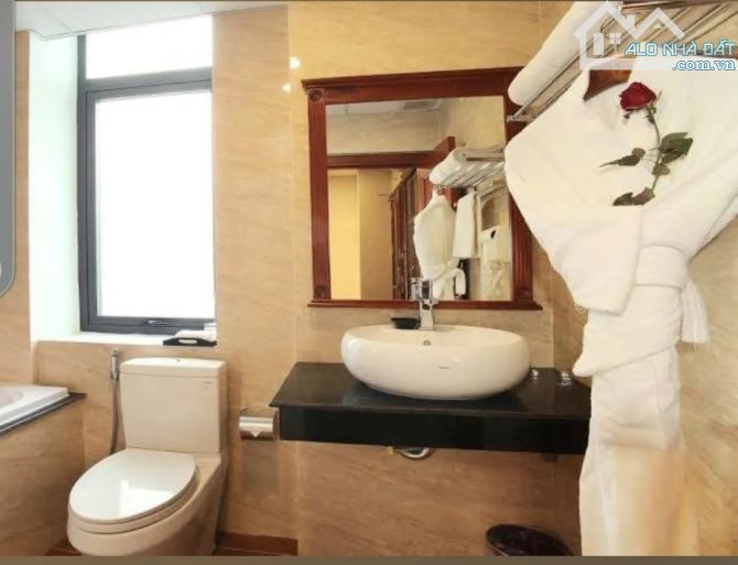 KS Trần Thái Tông 176m², MT 23m, 12 Tầng + Hầm - 188 Tỷ - 2