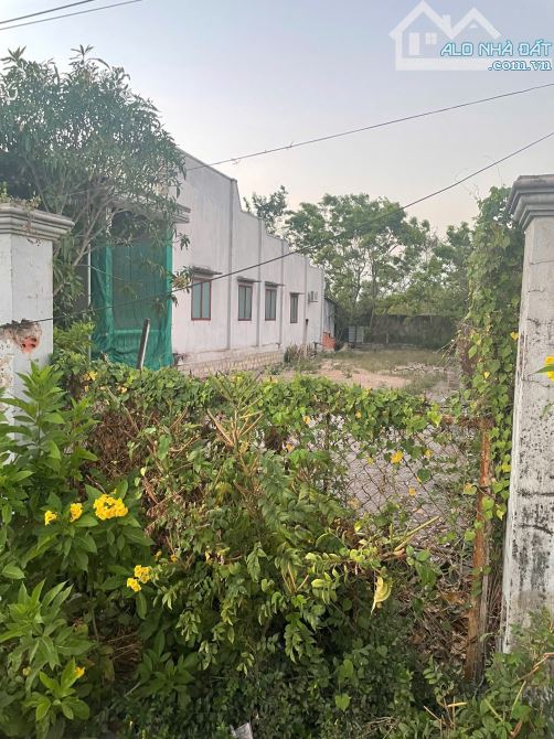 🌿 SỞ HỮU NGAY LÔ ĐẤT ĐẸP XÃ TAM AN – LONG ĐIỀN 🌿GIÁ 1TY750 DT 243m2 - 2