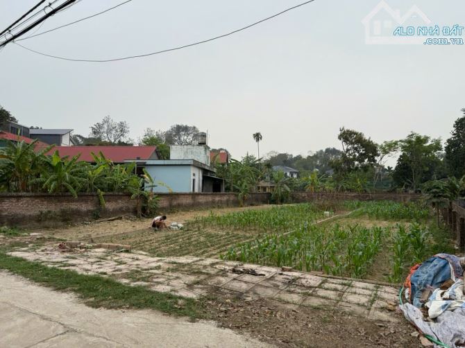 Bán Lô Đất Đẹp 218 m TDP Thị Trấn Gia Khánh, Bình Xuyên, Vĩnh Phúc, Đường To, Giá Siêu Rẻ - 2