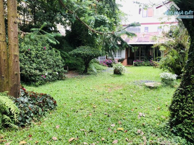 BÁN ĐẤT 300M2 NGANG 20M HẺM ÔTÔ NHỰA QUANG TRUNG GẦN RESORT MERCURE, CÁCH HỒ 1,8KM -26 TỶ - 2