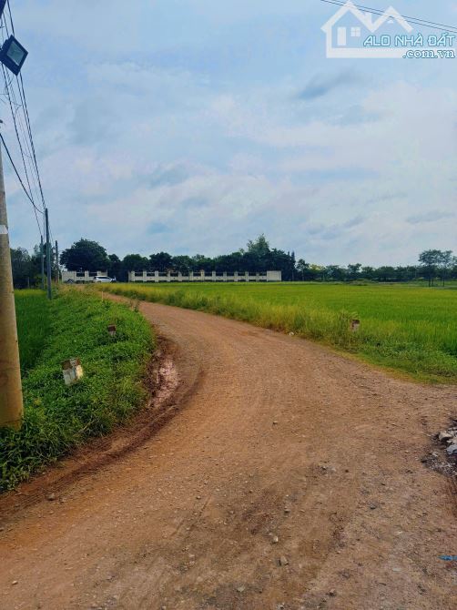 đầu tư kinh doanh thuận tiện🏡    Mua đất cất nhà kinh doanh; mở quan cf thuận tiện kinh d - 2
