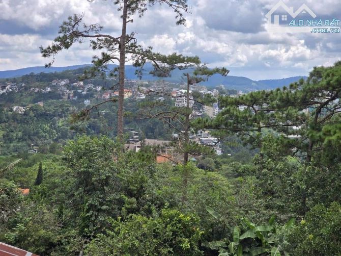 Nhà Phố View Thông Trung Tâm Phường Xuân Hương Đà Lạt 323m2 16 TỶ - 2