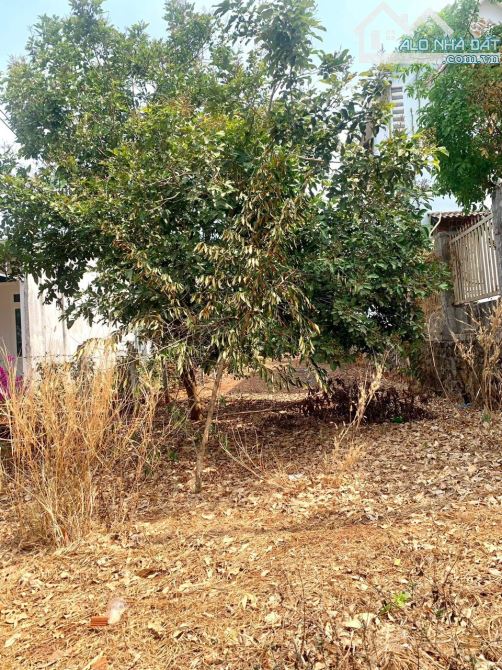 ĐẤT BÁN MẶT TIỀN TỈNH LỘ 1 CÁCH NGUYỄN THỊ ĐỊNH 500M - Loctran - 2