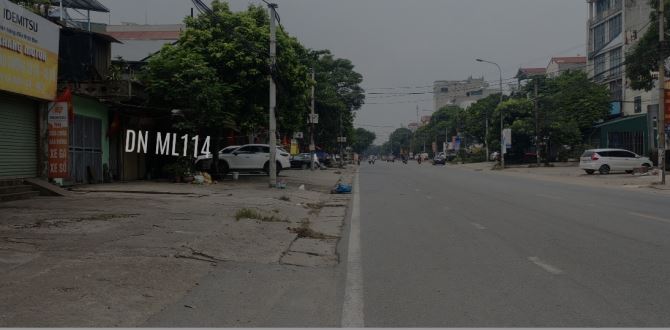BẠN CÓ ĐANG TÌM KIẾM "NỮ HOÀNG" BẤT ĐỘNG SẢN TẠI ĐÔNG ANH? - 2