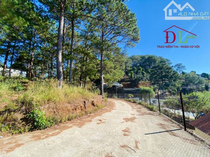 Bán đất Đà Lạt, đường Hoàng Hoa Thám view thông, diện tích 655m2, giá 12 tỷ #4774 - 2