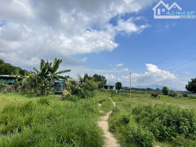 Bán 2000m2 đất thổ cư Lô 2 Lê Quang Định, TX LaGi giá ngộp 1 tỷ/ sào gần biển - 2