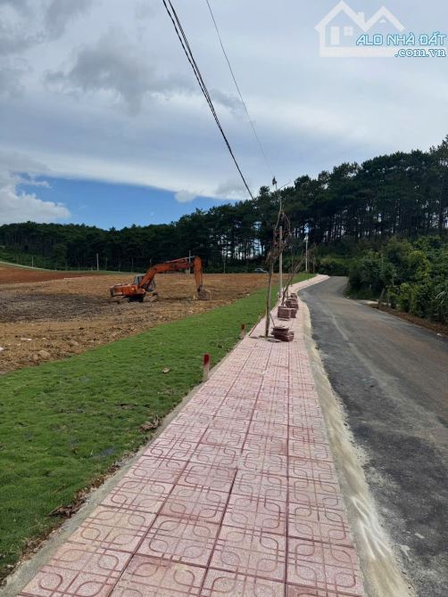 Bán phân lô tại Lộc Phú( Bảo Lâm 4) - Lâm Đồng - 2