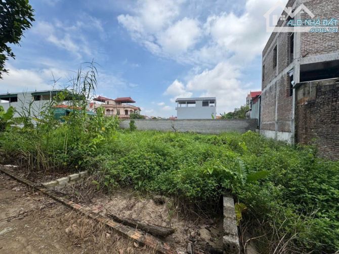 🔥 GIÁ RẺ CHỈ NHỈNH 2tỷ LÔ ĐẤT ĐẸP 👉 TỰ NHIÊN THƯỜNG TÍN -HÀ NỘI  🌽 Diện tích: 61m mặt t - 2