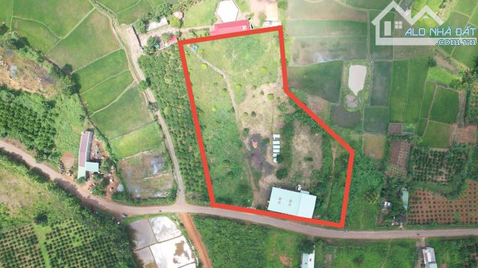 Cần chuyển nhượng hơn 1ha đất mt đường Nguyễn Bá Lai, view ruộng cực đẹp, Pleiku - Gia Lai - 2