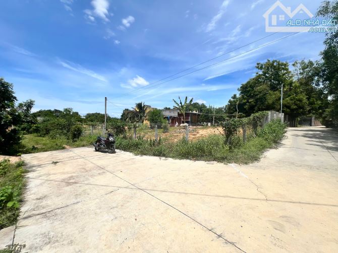 Bán đất xã Thiện Nghiệp gần sân bay Phan Thiết - 2