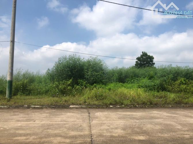 LÔ ĐẤT ĐẸP TẠI BẮC THƯỢNG QUANG TIẾN SÓC SƠN DIỆN TÍCH 125M2 ĐƯỜNG Ô TÔ ĐÁNH VÕNG - 2