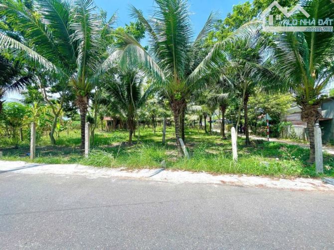 B.án 3 lô đất mặt tiền đường nhựa Diên Phước 100m2 chỉ từ 690 triệu💥 - 3