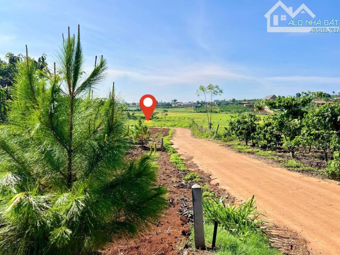 Lâm Đồng, mặt tiền ngang 8m, khí hậu mát mẻ, gần nhà vườn chỉ 390tr - 3
