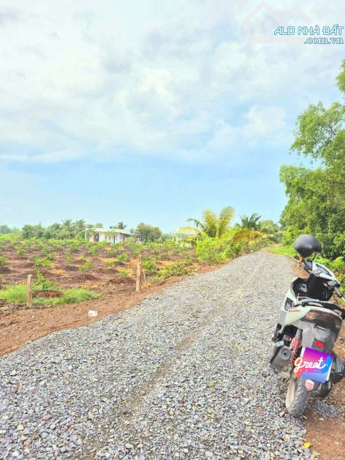 Siêu Phẩm, chỉ 900tr sở hữu 1000m2 đất vườn chanh View Kênh - 3