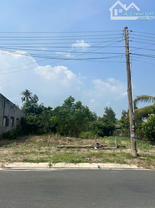 5x55(268m2) 50m2 TC Trưng Trắc Tân An LaGI Giá Đầu Tư - 3