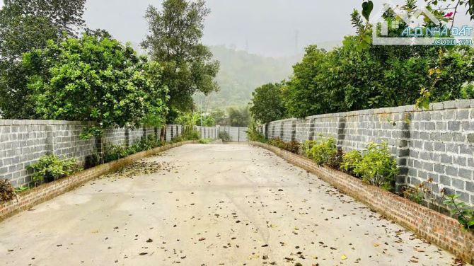 4640m2, khuôn viên nhà vườn rất đẹp, view thung lũng, đất ONT, TT. Lương Sơn, cách HN 40km - 3