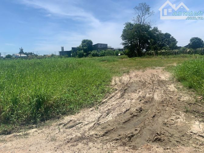 💥BÁN ĐẤT VƯỜN GẦN NHÀ GA TÀU CAO TỐC LÔ 2 ĐƯỜNG LÊ DUẪN NỐI DÀI TẠI XÃ HÀM HIỆP - 3