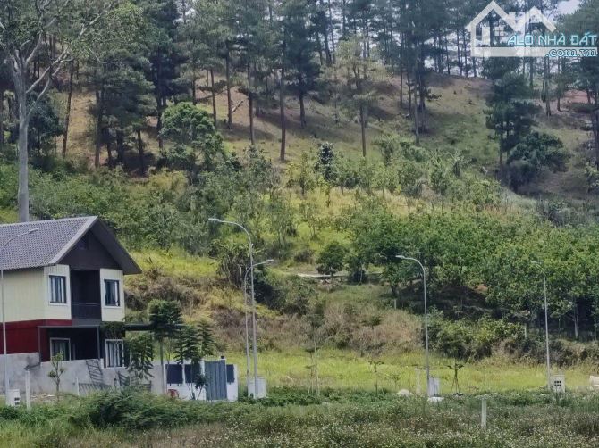 Đất biệt thự nghỉ dưỡng gần KDL Prenn Tp Đà Lạt. - 565m2 -  10.5 tỷ view thông - 3