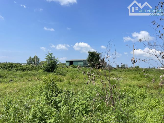 Bán 2000m2 đất thổ cư Lô 2 Lê Quang Định, TX LaGi giá ngộp 1 tỷ/ sào gần biển - 3