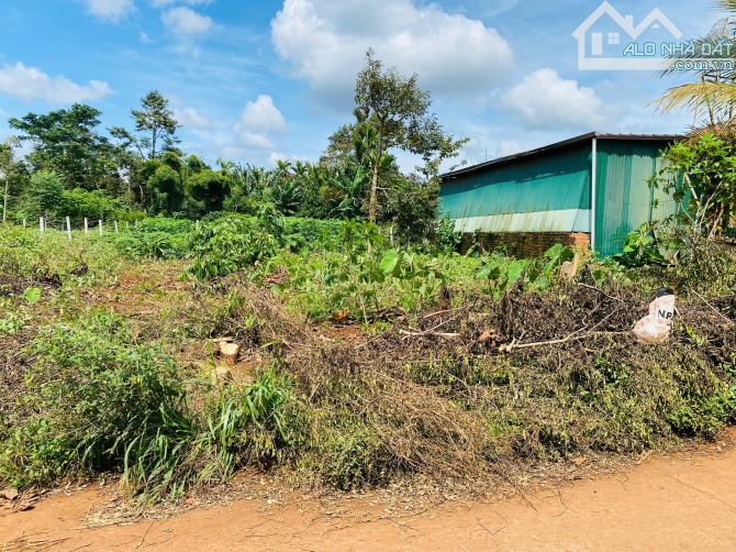 bán đất hẻm cấp 1 Cuor đăng - giá chỉ 690 triệu - 3
