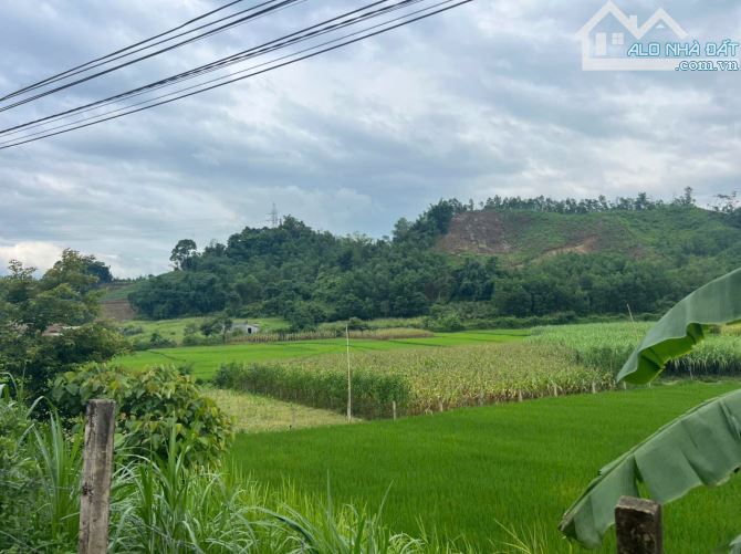 Bán 1100M có 200M đất ở bám đường bê tông liên xã_Cao Phong Hoà Bình cũ_1,3 tỷ - 3
