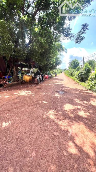 Bán đất cusue - giá 750 triệu - cưmgar - 3