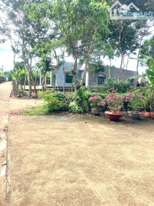 THANH BÌNH TRẢNG BOM 5X20 FULL THỔ CƯ GIÁ NGỘP CHỈ CÓ 585TR - 3