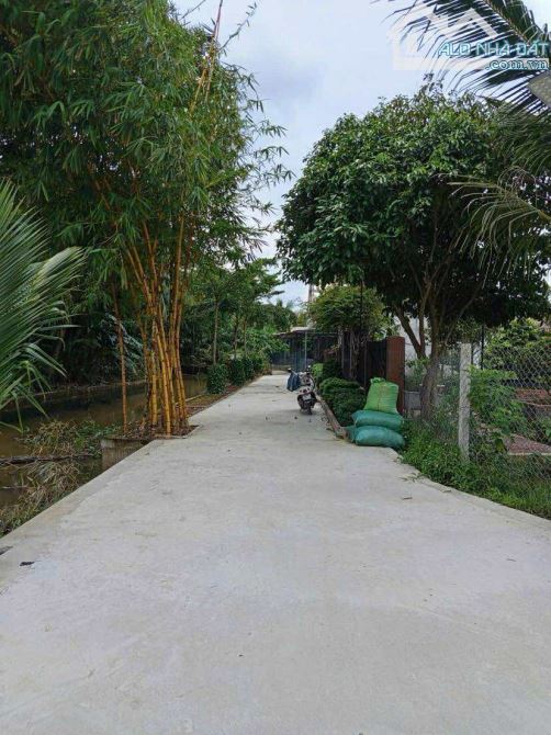 Bán đất 1.500 m2 có nhà cây ăn trái gần chợ Mỹ Khánh - 3