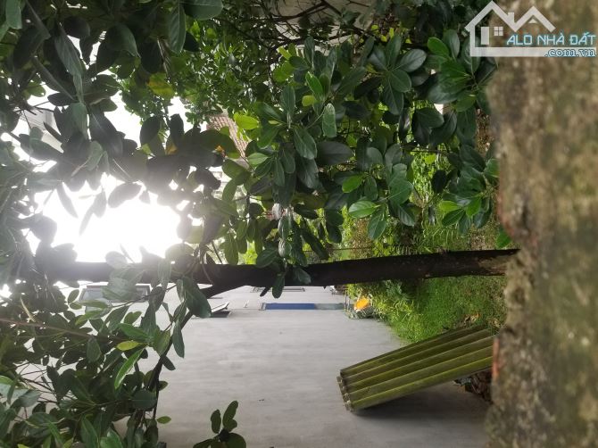 BÁN ĐẤT CỔ LOA - ĐÔNG ANH - DT 57M - GIÁ 3 TỶ - 3