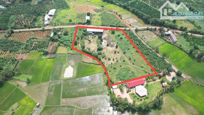 Cần chuyển nhượng hơn 1ha đất mt đường Nguyễn Bá Lai, view ruộng cực đẹp, Pleiku - Gia Lai - 3