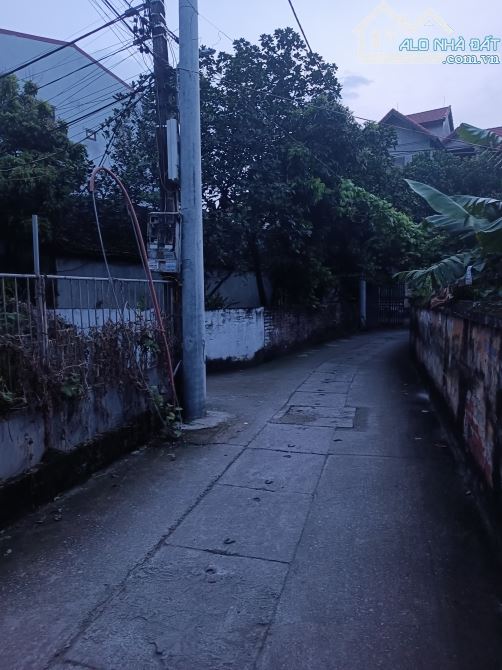 Bán đất Đại Mạch, Đông Anh, 358m2, mặt tiền 22m, giá 90 tr/m2 - 3