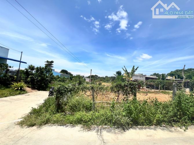 Bán đất xã Thiện Nghiệp gần sân bay Phan Thiết - 3