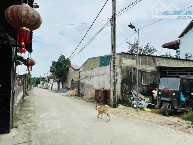 Hàng Mới Đẹp F0 125,7m Nam Phương Tiến Chương Mỹ HN 🌟 LÔ ĐẤT SIÊU ĐẸP – VỊ TRÍ ĐẮC ĐỊA – - 3