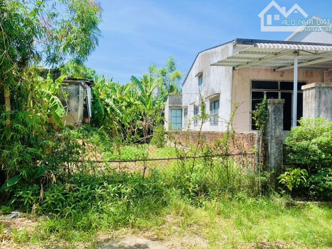 Bán Đất Phường Điện Phương - Sát View Lúa - 125m2 - MT 5m - 810Trieu - 4