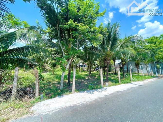 B.án 3 lô đất mặt tiền đường nhựa Diên Phước 100m2 chỉ từ 690 triệu💥 - 4