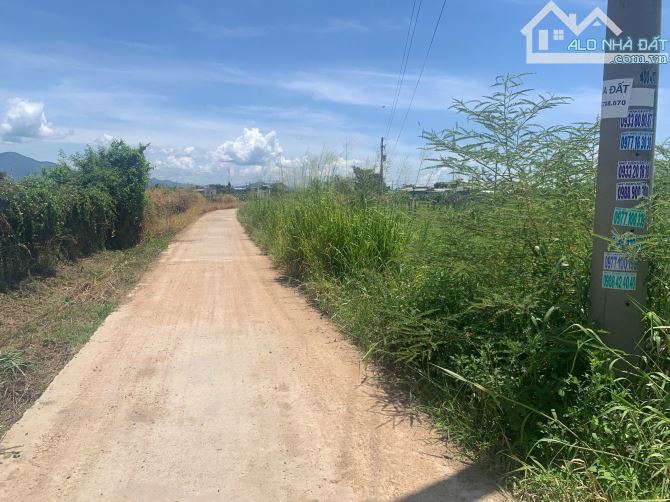 💥BÁN ĐẤT VƯỜN GẦN NHÀ GA TÀU CAO TỐC LÔ 2 ĐƯỜNG LÊ DUẪN NỐI DÀI TẠI XÃ HÀM HIỆP - 4
