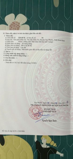 Bán đất Trần Bá, Diêu Trì, Tuy Phước DT 102m2 Lô Góc Hai Mặt Tiền Giá - 4