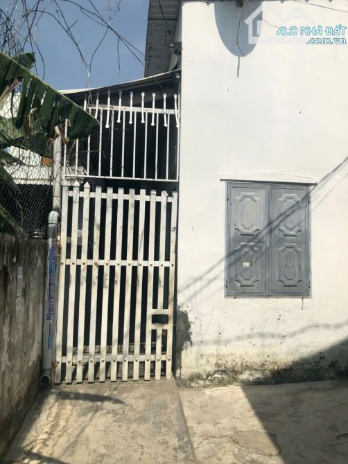 Bán Đất Tặng Dãy Trọ Hẻm Cầu Dứa - Phú Nông, Vĩnh Ngọc - 4