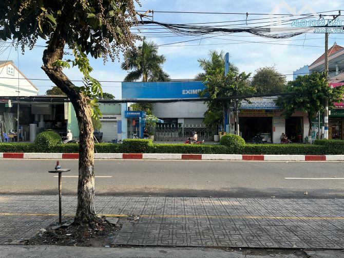 Cần bán đất mặt tiền đường Nguyễn Trãi, Lái Thiêu, Bình Dương - 4