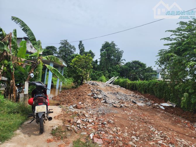 Bán đất MT Bình Nhâm 42 cách Nguyễn Chí Thanh 15m, 374m2 SHR Ngang 8,3m, chỉ 20tr/m2 TL - 4