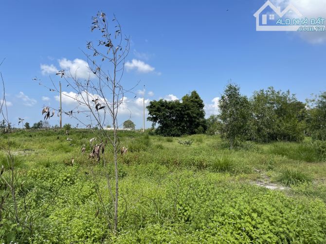 Bán 2000m2 đất thổ cư Lô 2 Lê Quang Định, TX LaGi giá ngộp 1 tỷ/ sào gần biển - 4